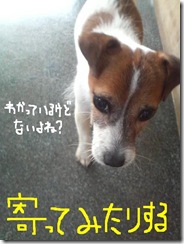 今日カズ080923　17