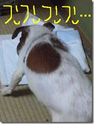 昨日カズ080924　2
