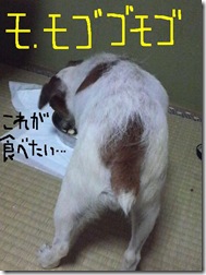 昨日カズ080924　3