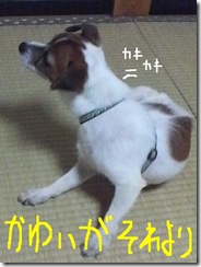 昨日カズ080924　4