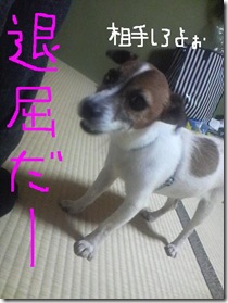 昨日カズ080924　5