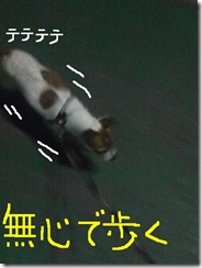 昨日カズ080924　6