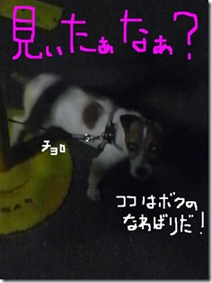 昨日カズ080924　7