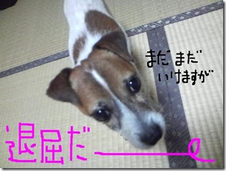 昨日カズ080924　8