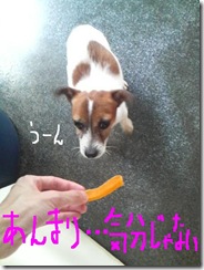 今日カズ081008　1