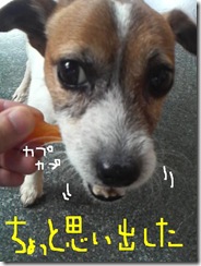 今日カズ081008　2
