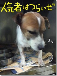 今日カズ081009　4