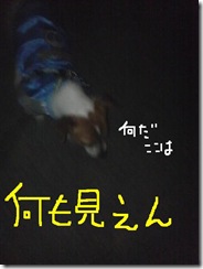 今日カズ081010　1