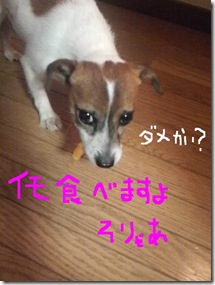 今日カズ081010　2