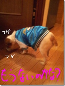 今日カズ081011　2