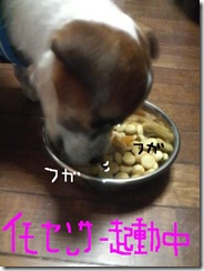 今日カズ081011　3