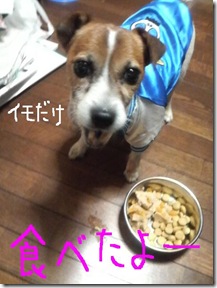 今日カズ081011　4