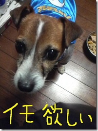 今日カズ081011　5