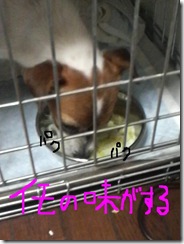 今日カズ081012　1