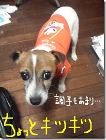 今日カズ081014　1