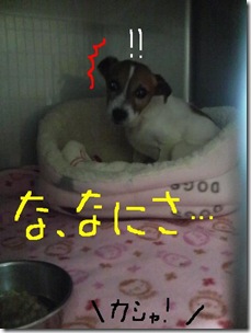 今日カズ081014　3