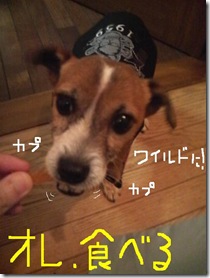今日カズ081015　2