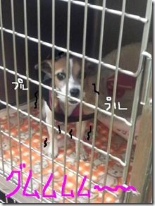 今日カズ081015　3
