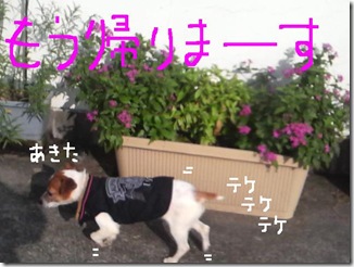 今日カズ081015　8
