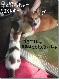 今日カズおまけ　1