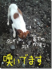 今日カズ081017　10