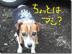 今日カズ081017　12