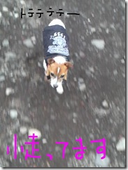 今日カズ081017　13
