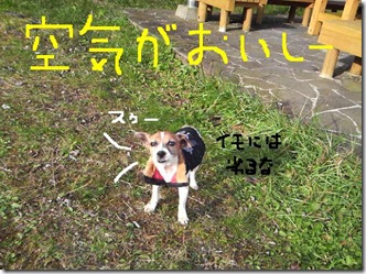 今日カズ081017　17