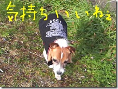 今日カズ081017　18