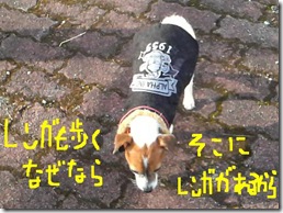 今日カズ081017　19