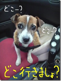 今日カズ081017　20
