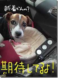 今日カズ081017　21