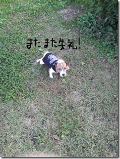 今日カズ081017　22