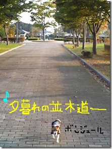 今日カズ081017　23