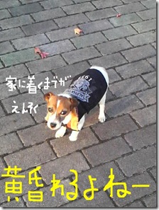 今日カズ081017　24