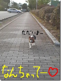 今日カズ081017　28