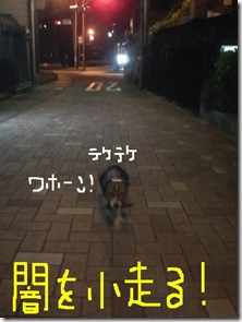 今日カズ081017　31
