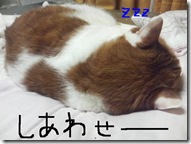 今日カズ081017　32