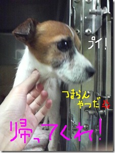 今日カズ081025　2