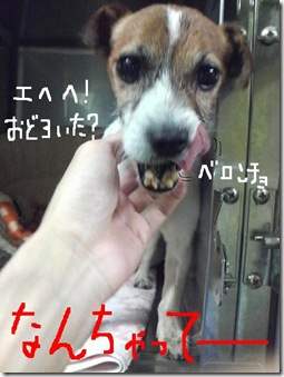 今日カズ081025　3