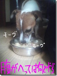 今日カズ081027　1