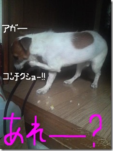 今日カズ081027　3