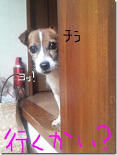 今日カズ081027　5