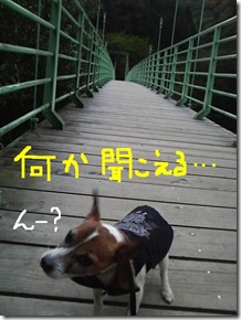 今日カズ081027　10