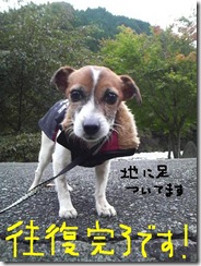 今日カズ081027　15