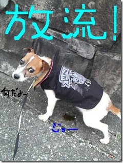 今日カズ081027　18