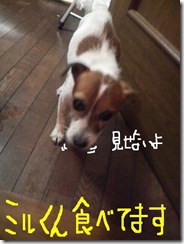 今日カズ081028　1