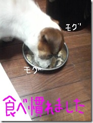今日カズ081028　2