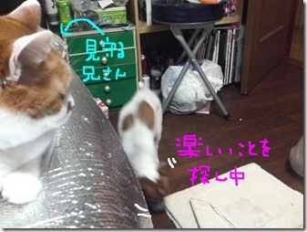 今日カズ081028　3