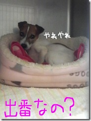 今日カズ081029　1